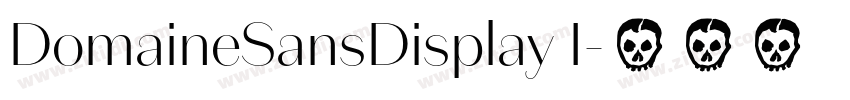 DomaineSansDisplay I字体转换